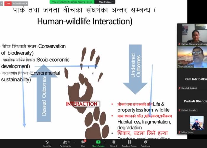 presentation on Buffer zone